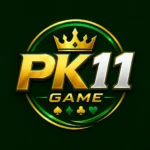 PK11 Game Download